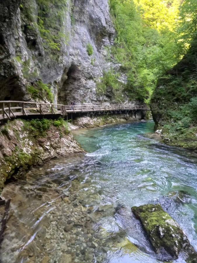 Apartma Marjetica Ii. Blejska Dobrava Екстер'єр фото