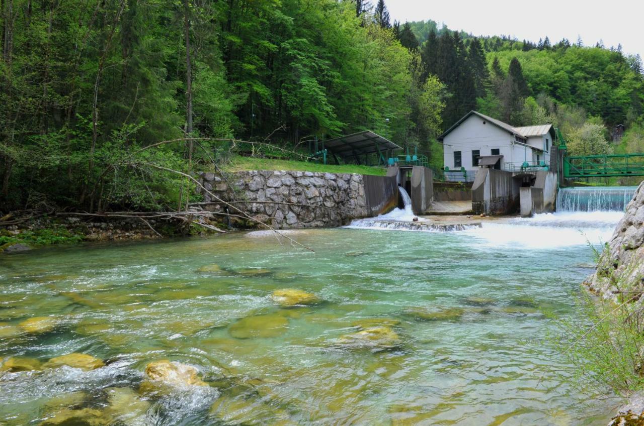 Apartma Marjetica Ii. Blejska Dobrava Екстер'єр фото